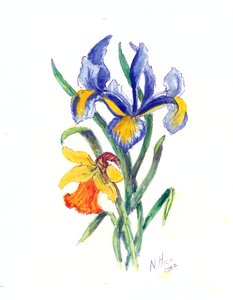 Blauwe Iris en Narcis, 2002 door Nell Hill